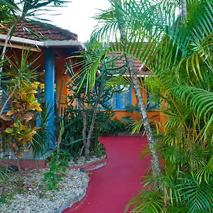 Le Jardin De Rodney Gros Islet